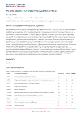 Blueprint Genetics Macrocephaly / Overgrowth Syndrome Panel