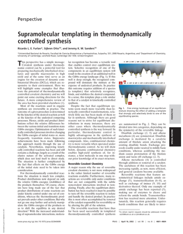 Supramolecular Templating in Thermodynamically Controlled Synthesis