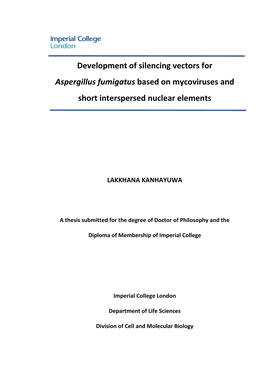 Development of Silencing Vectors for Aspergillus Fumigatus Based on Mycoviruses And