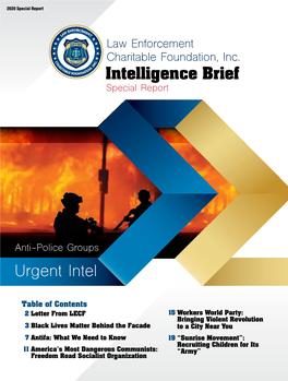 Intelligence Brief Special Report