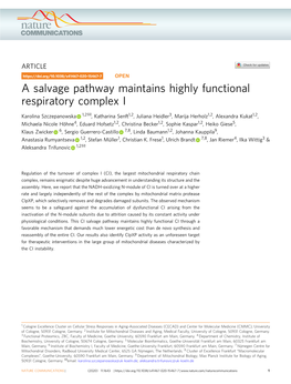 A Salvage Pathway Maintains Highly Functional Respiratory Complex I