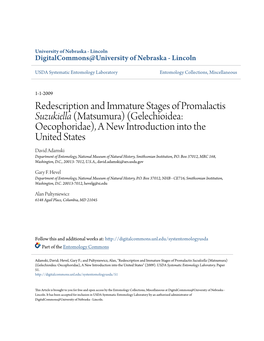 Redescription and Immature Stages of Promalactis Suzukiella