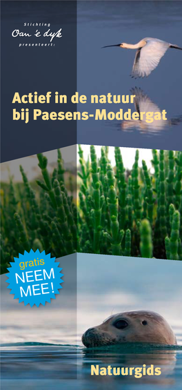 Natuurgids Paesens-Moddergat