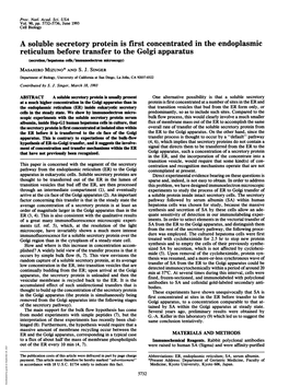 A Soluble Secretory Protein Is First Concentrated in the Endoplasmic