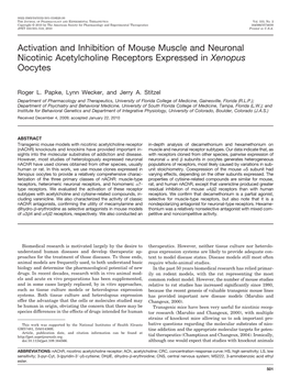 Activation and Inhibition of Mouse Muscle and Neuronal Nicotinic Acetylcholine Receptors Expressed in Xenopus Oocytes