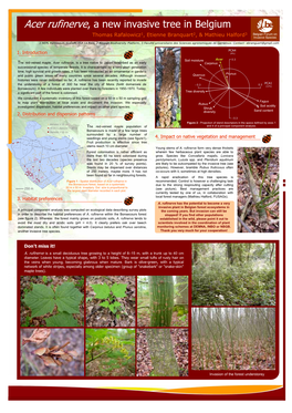 Acer Rufinerve, a New Invasive Tree in Belgium Thomas Rafalowicz1, Etienne Branquart2, & Mathieu Halford3