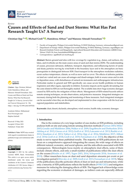 Causes and Effects of Sand and Dust Storms: What Has Past Research Taught Us? a Survey