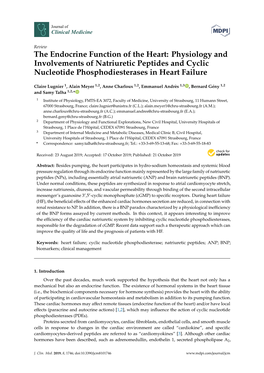 The Endocrine Function of the Heart: Physiology and Involvements of Natriuretic Peptides and Cyclic Nucleotide Phosphodiesterases in Heart Failure