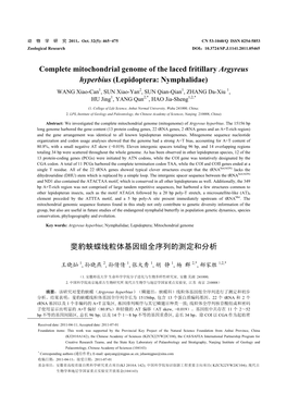 Complete Mitochondrial Genome of the Laced Fritillary Argyreus Hyperbius