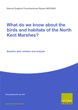 What Do We Know About the Birds and Habitats of the North Kent Marshes?