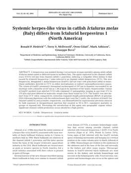 Systemic Herpes-Like Virus in Catfish Ictalurus Melas (Italy) Differs from Ictalurid Herpesvirus 1 (North America)