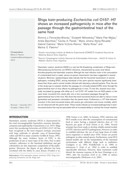 Shiga Toxin-Producing Escherichia Coli O157 : H7 Shows an Increased Pathogenicity in Mice After the Passage Through the Gastrointestinal Tract of the Same Host