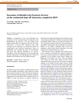 Encounter of Lithodid Crab Paralomis Birsteini on the Continental Slope Ov Antarctica, Sampled by ROV