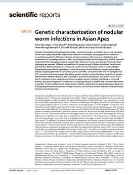 Genetic Characterization of Nodular Worm Infections in Asian Apes