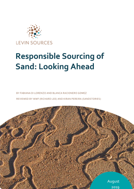 Responsible Sourcing of Sand: Looking Ahead