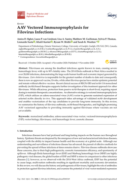 AAV Vectored Immunoprophylaxis for Filovirus Infections