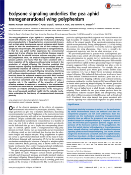 Ecdysone Signaling Underlies the Pea Aphid Transgenerational Wing Polyphenism