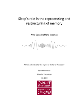 Sleep's Role in the Reprocessing and Restructuring of Memory