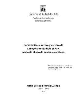 Enraizamiento in Vitro Y Ex Vitro De Lapageria Rosea Ruiz Et Pav. Mediante El Uso De Auxinas Sintéticas