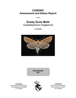 Dusky Dune Moth (Copablepharon Longipenne) in Canada, Prepared Under Contract with Environment Canada
