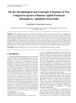 On the Morphological and Genotypic Variations of Two Congeneric Species of Banana Aphid Pentalonia (Homoptera: Aphididae) from India