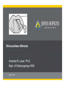 Olivocochlear Efferents