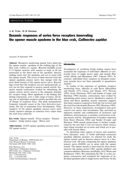 Dynamic Responses of Series Force Receptors Innervating the Opener Muscle Apodeme in the Blue Crab, Callinectes Sapidus