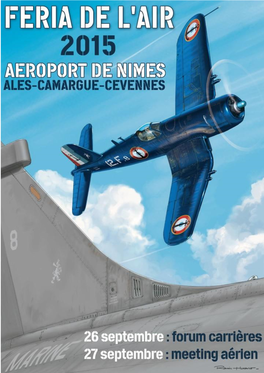 Avions "Féria De L'air" Nîmes - 2015