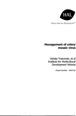 Management of Celery Mosaic Virus