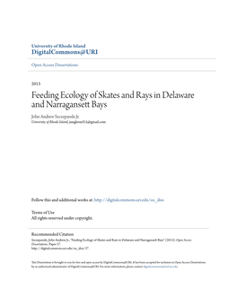 Feeding Ecology of Skates and Rays in Delaware and Narragansett Bays