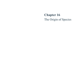 Chapter 16 the Origin of Species Chapter 16 at a Glance