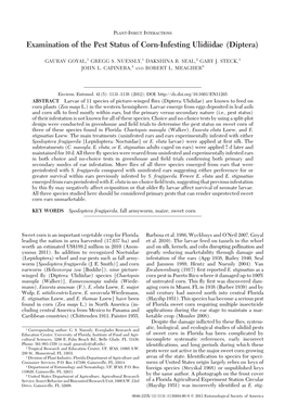 Examination of the Pest Status of Corn-Infesting Ulidiidae (Diptera)