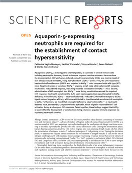 Aquaporin-9-Expressing Neutrophils Are Required for the Establishment