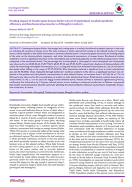 Feeding Impact of Cisaberoptus Kenyae Keifer (Acari: Eriophyidae) on Photosynthetic Efficiency and Biochemical Parameters of Mangifera Indica L