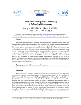 Comparative Foliar Epidermal Morphology of Isolona Engl