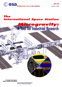 Microgravity: a Tool for Industrial Research