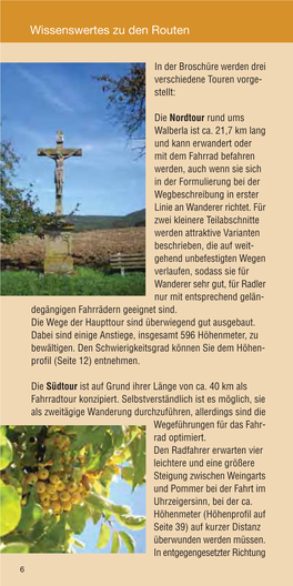 Bierverführungen Am Fünf-Seidla-Steig