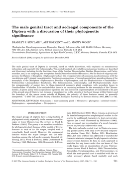 The Male Genital Tract and Aedeagal Components of the Diptera with a Discussion of Their Phylogenetic Signiﬁcance