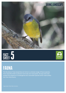 The Bundanon Trust Properties Are Home to a Diverse Range of Fauna Species