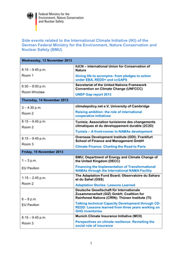 Side Event Organised by the International Climate Initiative (ICI) Of