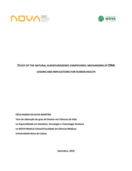 Mechanisms of Dna Lesions And