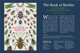 The Book of Beetles a Life-Size Guide to Six Hundred of Nature's Gems