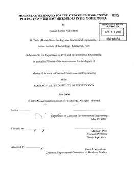 Molecular Techniques for the Study of Helicobacter Sp