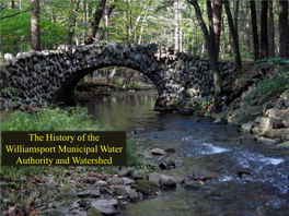 The History of the Williamsport Municipal Water Authority and Watershed What Natural and Human Events Created This Special Place?