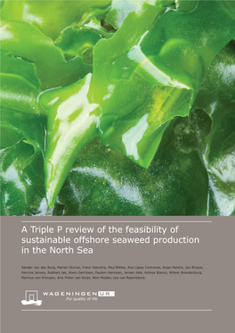 A Triple P Review of the Feasibility of Sustainable Offshore Seaweed Production in the North Sea