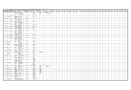 RBI Format for Submitting Suitfiled Accounts As