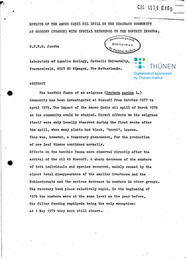 Efpects of the Amoco Cadiz Oil Spill on the Seagrass Community at Roscoff (France) Witr Special Reference to the Benthic Infauna