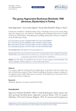 The Genus Hygrocrates Deeleman-Reinhold, 1988 (Araneae, Dysderidae) in Turkey