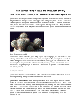 San Gabriel Valley Cactus and Succulent Society Cacti of the Month January 2001 - Gymnocactus and Ortegocactus