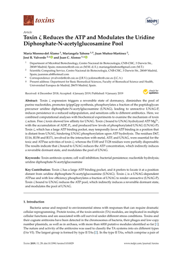 Toxin Reduces the ATP and Modulates the Uridine Diphosphate-N-Acetylglucosamine Pool